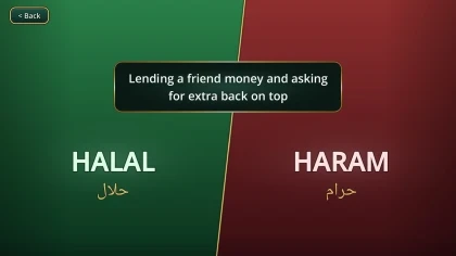 Guidance in Islam скриншоты