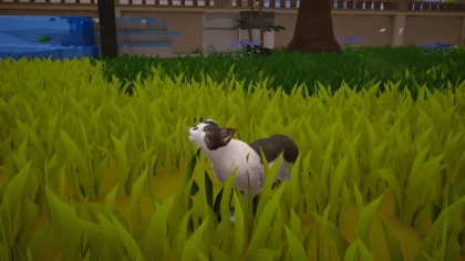 MEOWMI: City Cat Chaos скриншоты