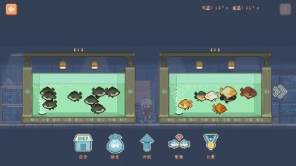 宠物街金鱼姬 Pet Street Story скриншоты